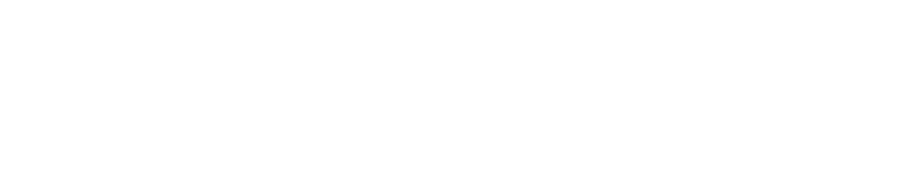 Soloneur